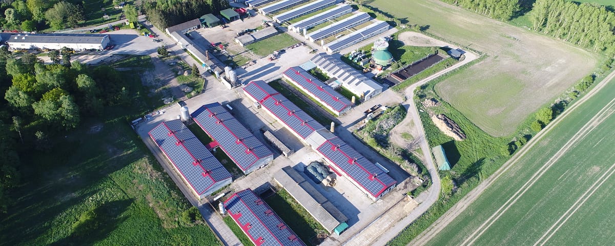 Aerial view on rooftop solar plant on agricultural buildings