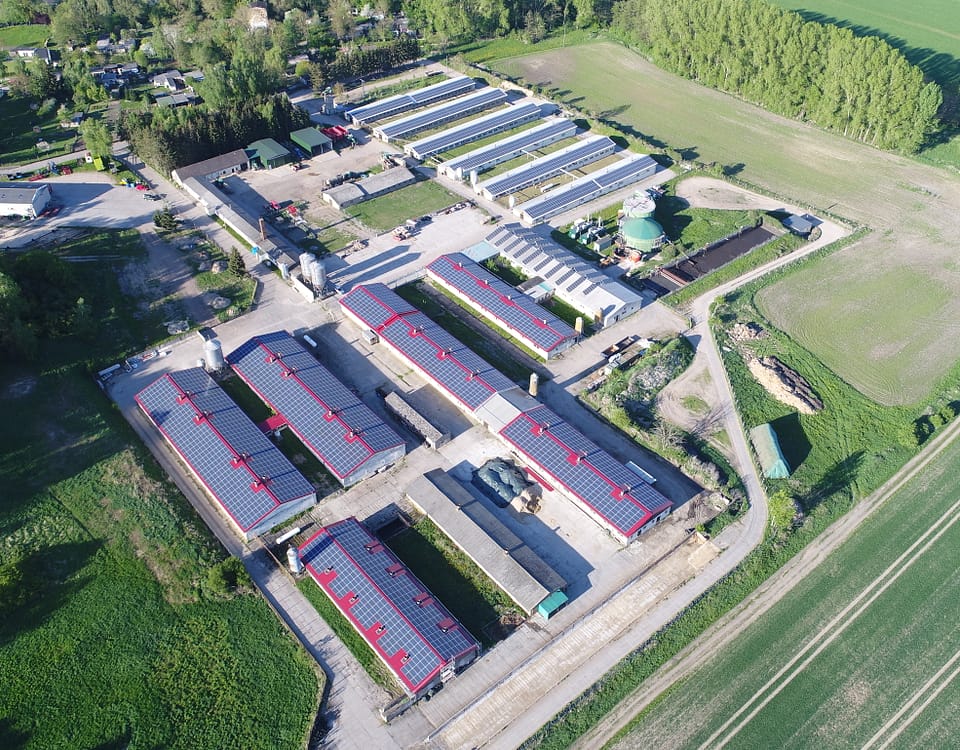 Aerial view on rooftop solar plant on agricultural buildings